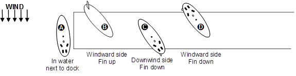 Windsurf Sails on Dock